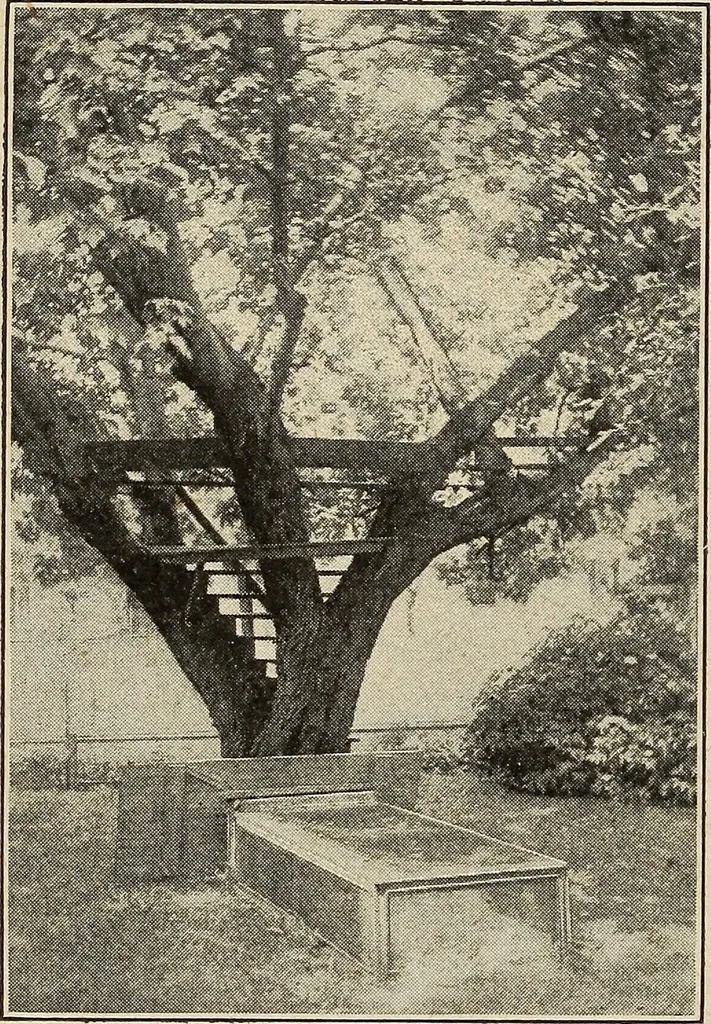 An illustration from The home and the family; an elementary textbook of home making, 1917, leaf 103