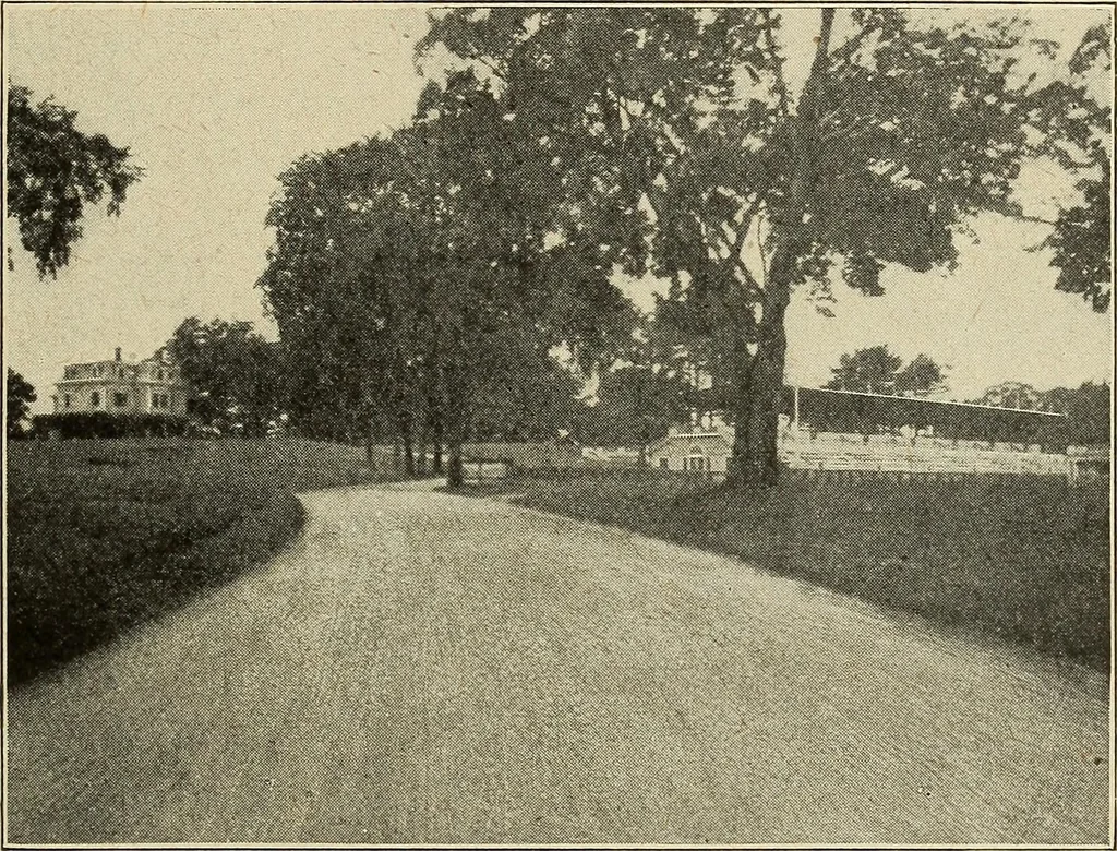 An illustration from The home and the family; an elementary textbook of home making, 1917, leaf 108