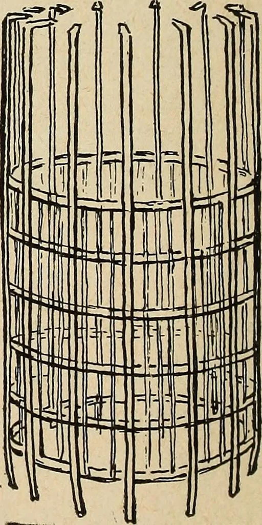 An illustration from The home and the family; an elementary textbook of home making, 1917, leaf 109