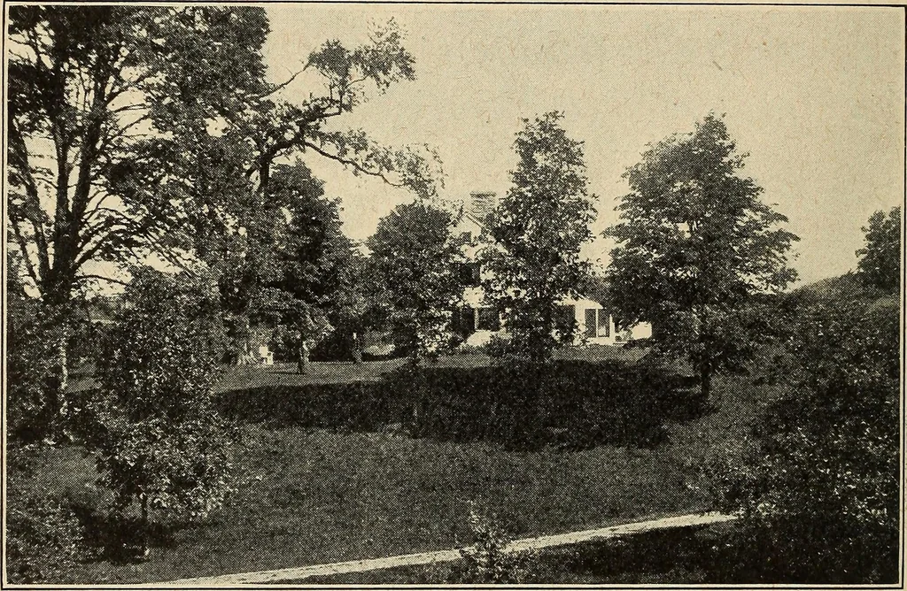 An illustration from The home and the family; an elementary textbook of home making, 1917, leaf 113