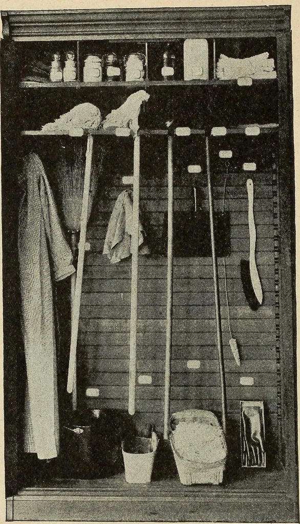 An illustration from The home and the family; an elementary textbook of home making, 1917, leaf 115