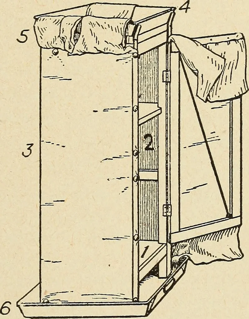 An illustration from The home and the family; an elementary textbook of home making, 1917, leaf 152