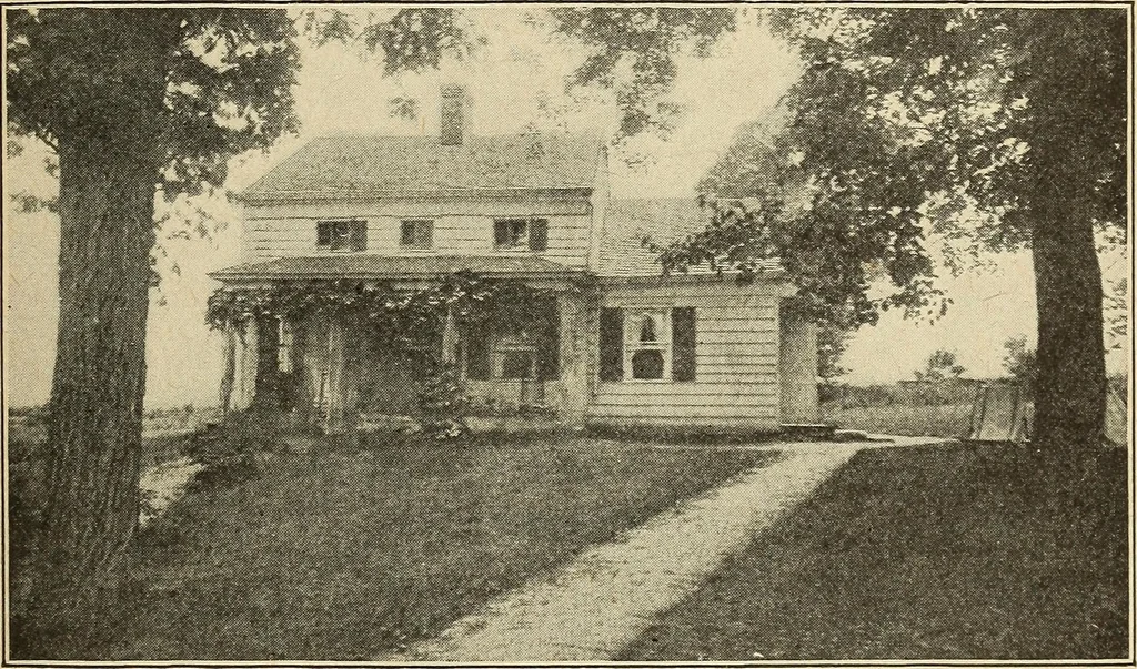 An illustration from The home and the family; an elementary textbook of home making, 1917, leaf 16