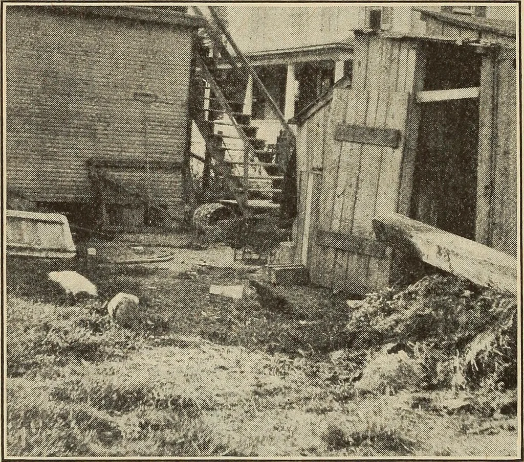 An illustration from The home and the family; an elementary textbook of home making, 1917, leaf 161