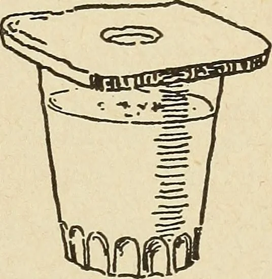 An illustration from The home and the family; an elementary textbook of home making, 1917, leaf 164