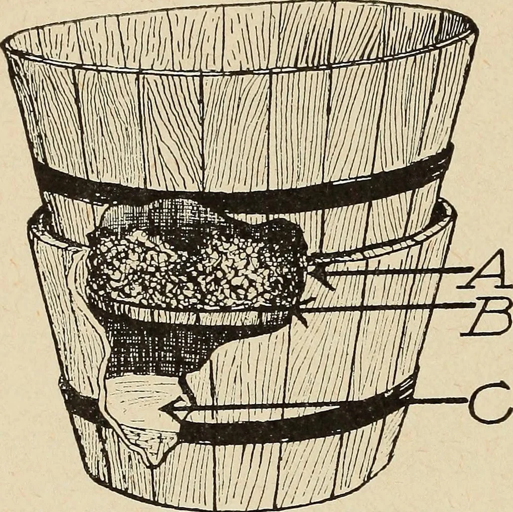 An illustration from The home and the family; an elementary textbook of home making, 1917, leaf 167