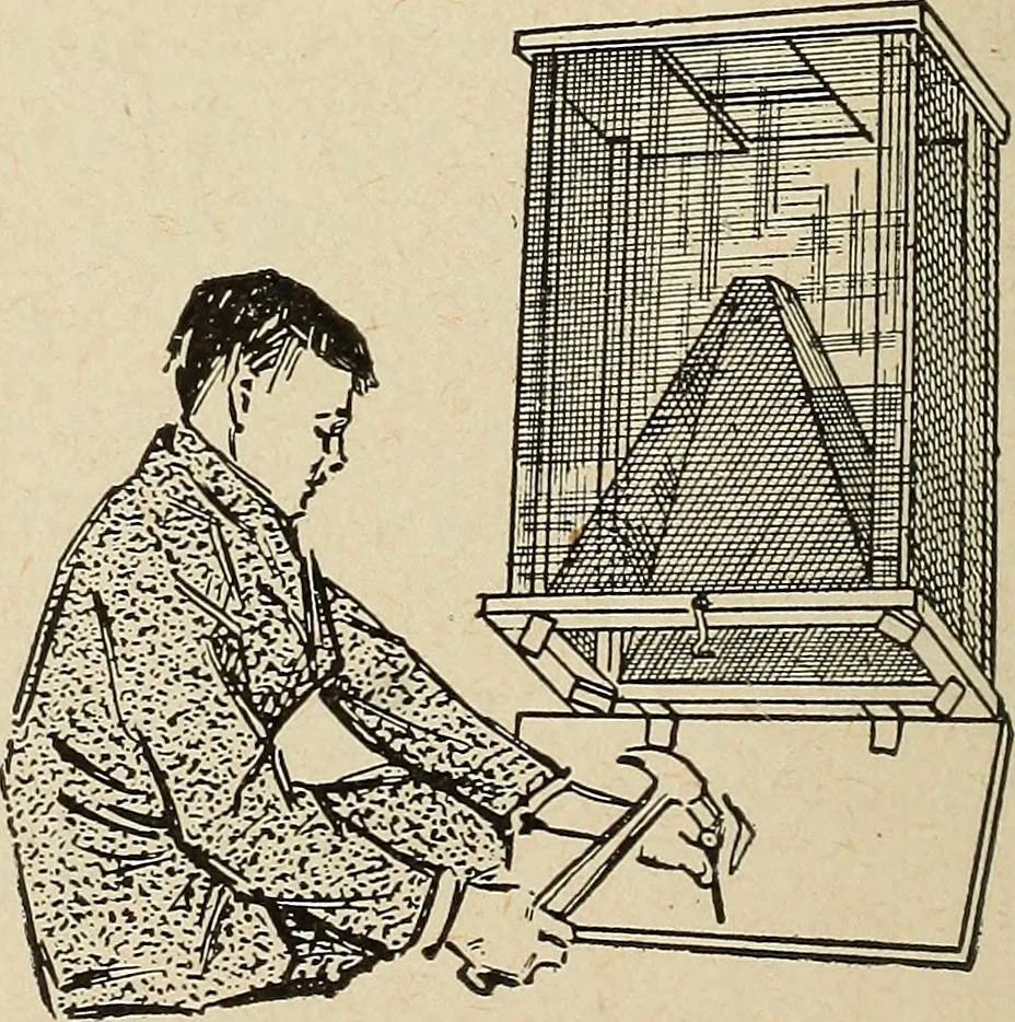 An illustration from The home and the family; an elementary textbook of home making, 1917, leaf 167