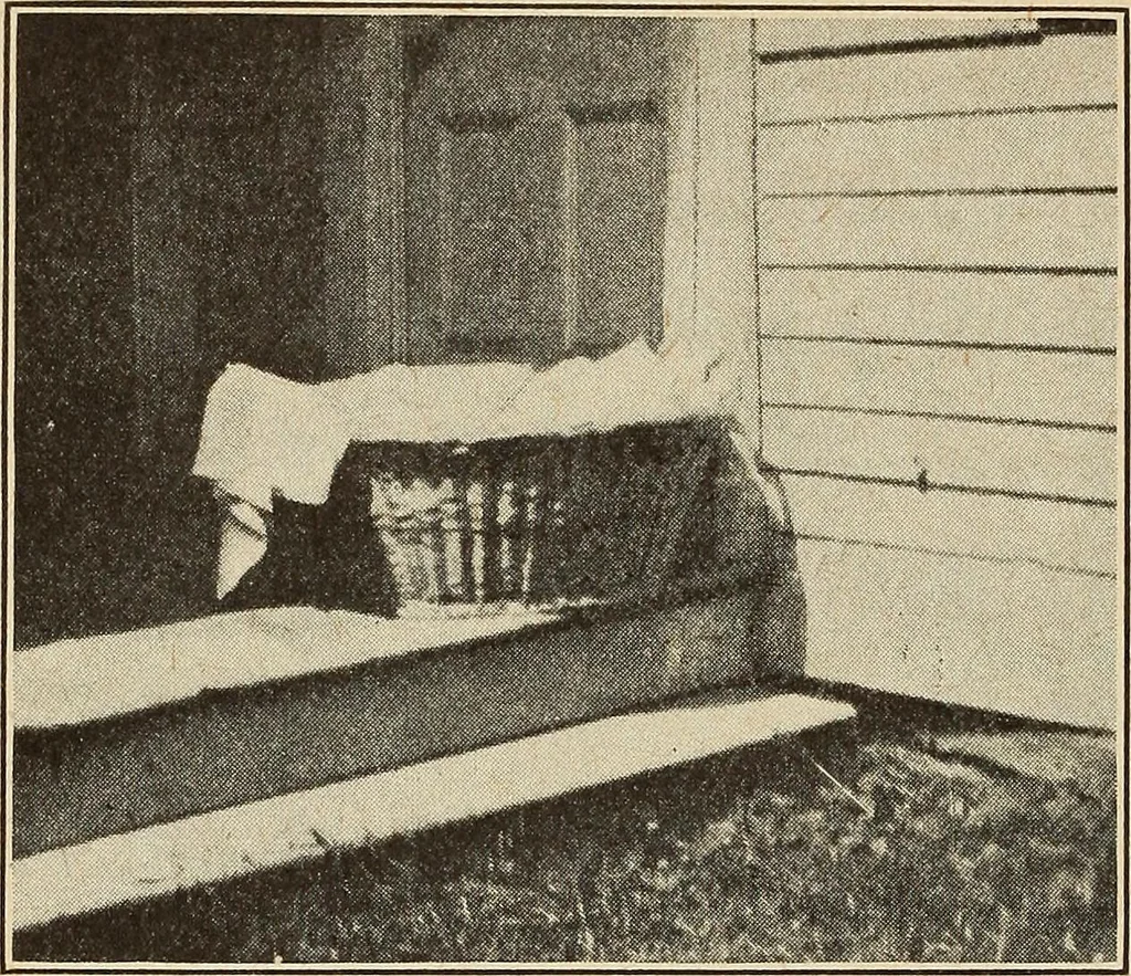 An illustration from The home and the family; an elementary textbook of home making, 1917, leaf 181