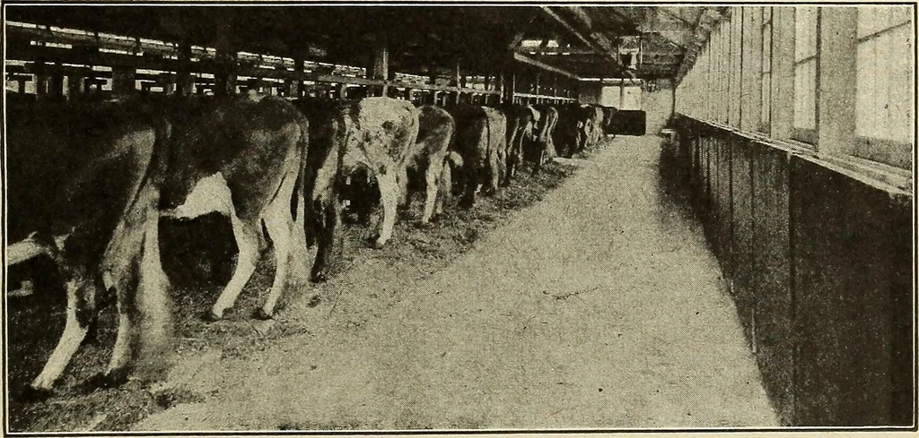 An illustration from The home and the family; an elementary textbook of home making, 1917, leaf 192