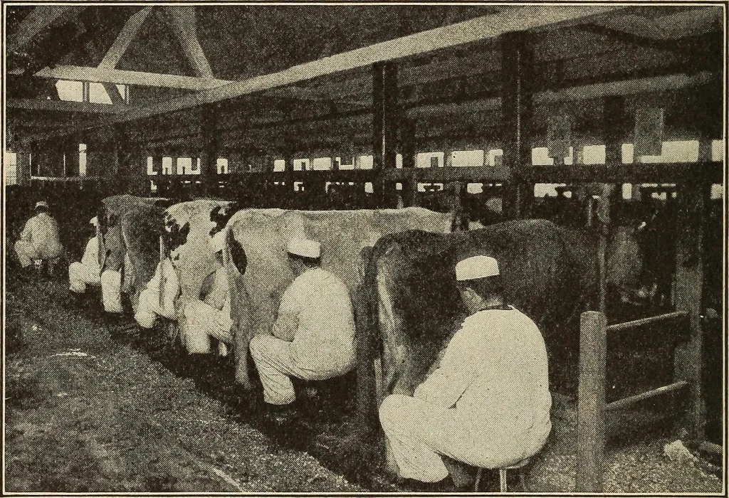 An illustration from The home and the family; an elementary textbook of home making, 1917, leaf 193