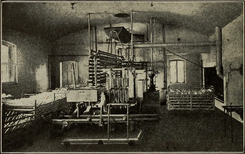 An illustration from The home and the family; an elementary textbook of home making, 1917, leaf 199