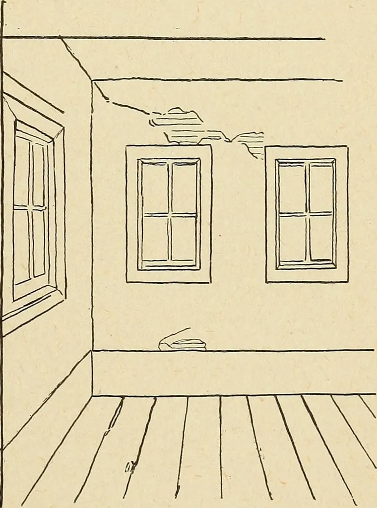 An illustration from The home and the family; an elementary textbook of home making, 1917, leaf 20