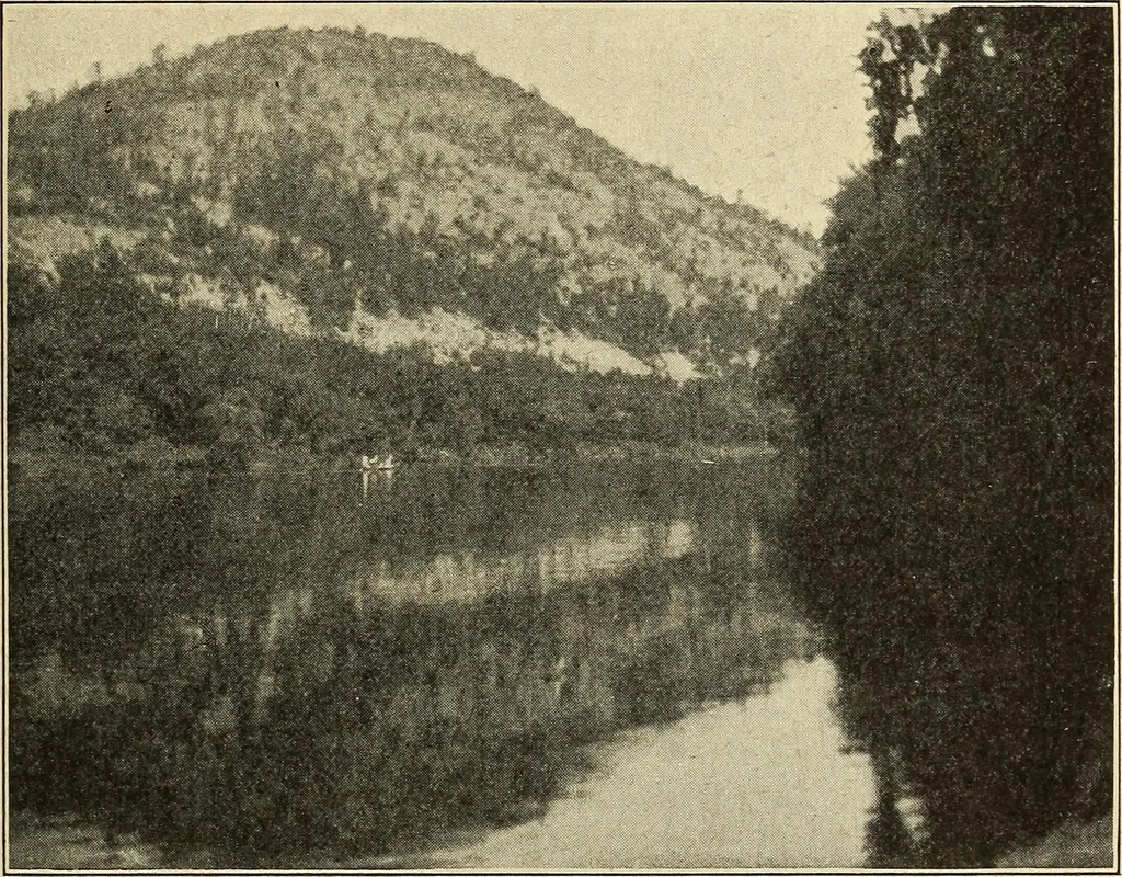 An illustration from The home and the family; an elementary textbook of home making, 1917, leaf 236