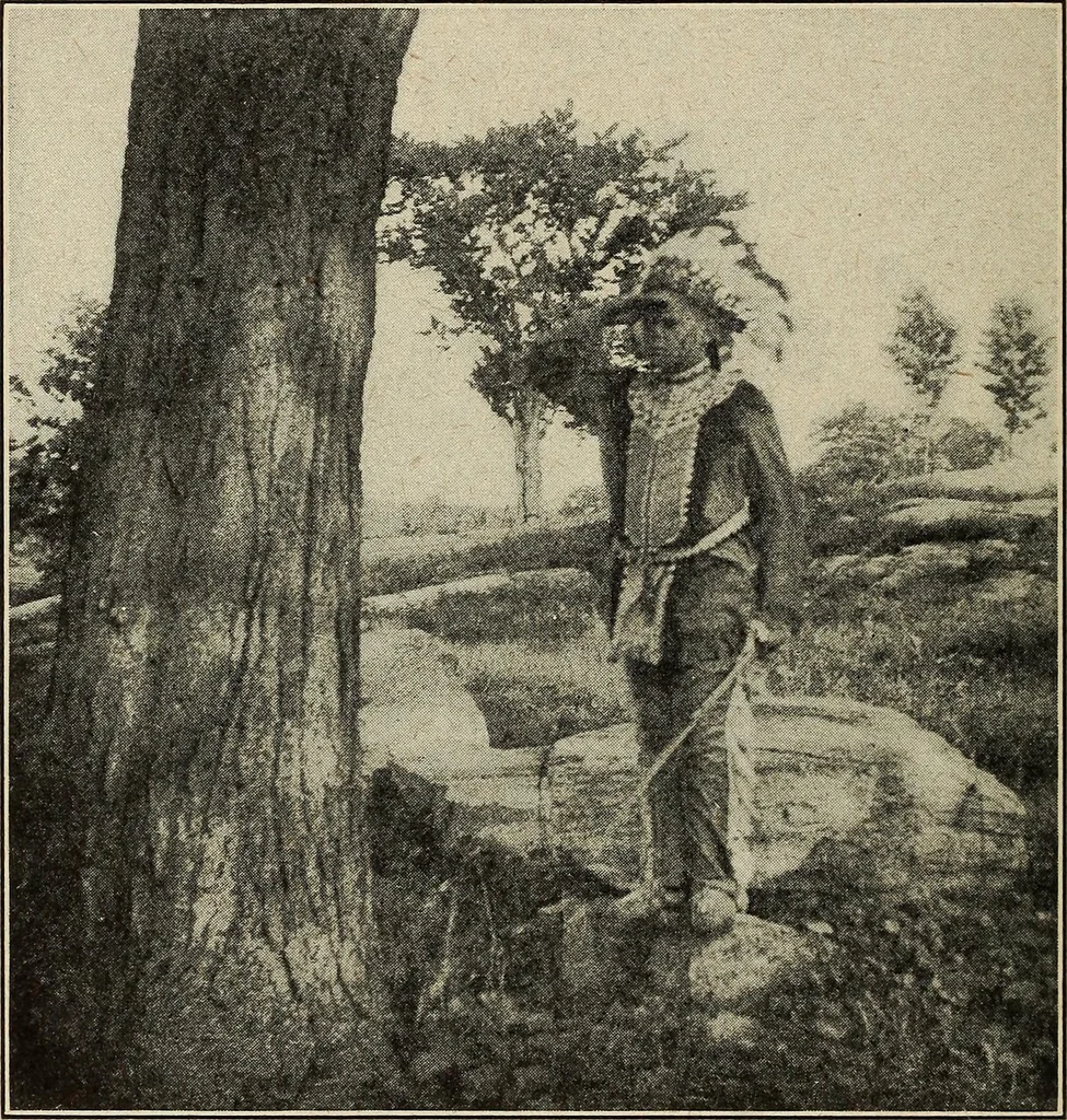 An illustration from The home and the family; an elementary textbook of home making, 1917, leaf 237