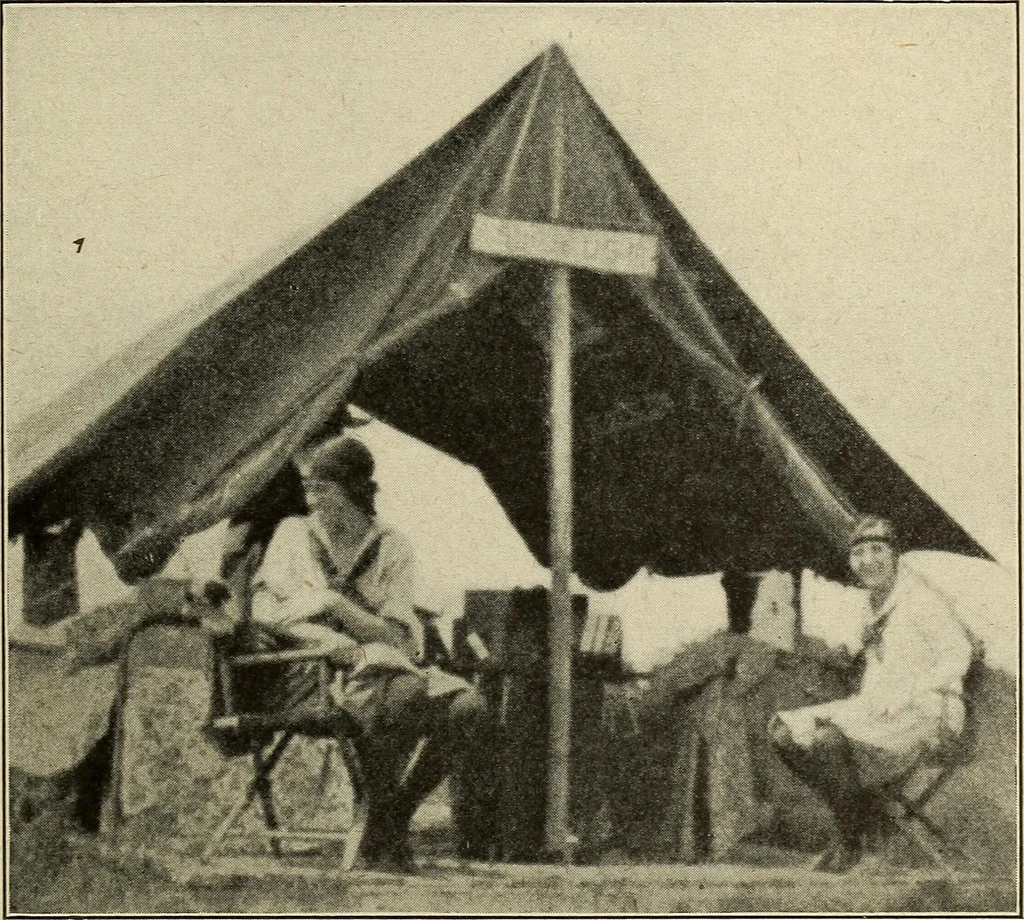 An illustration from The home and the family; an elementary textbook of home making, 1917, leaf 238