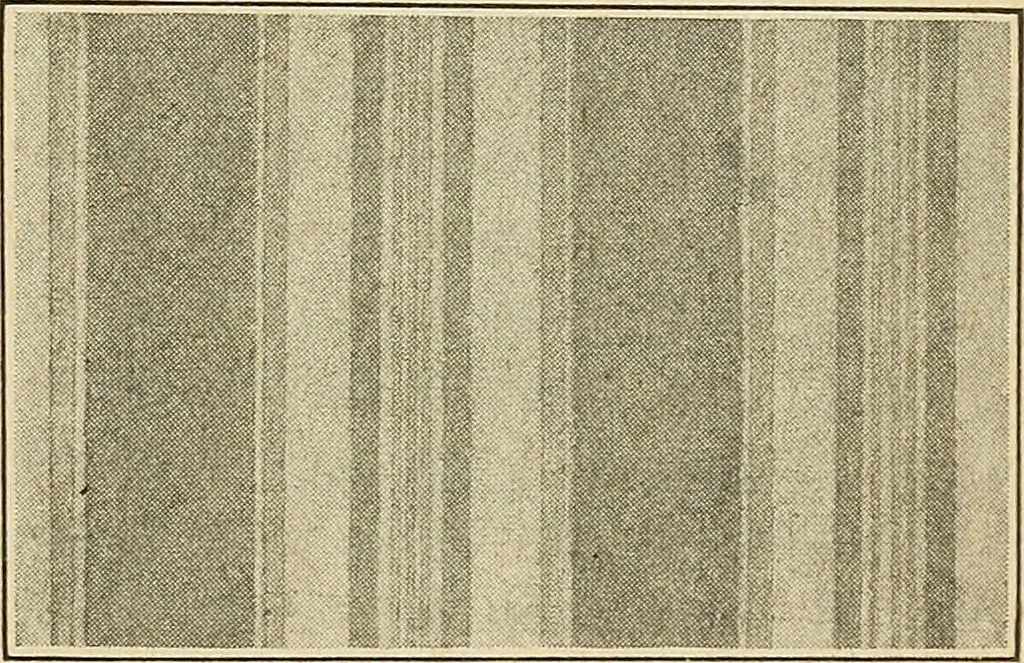 An illustration from The home and the family; an elementary textbook of home making, 1917, leaf 24