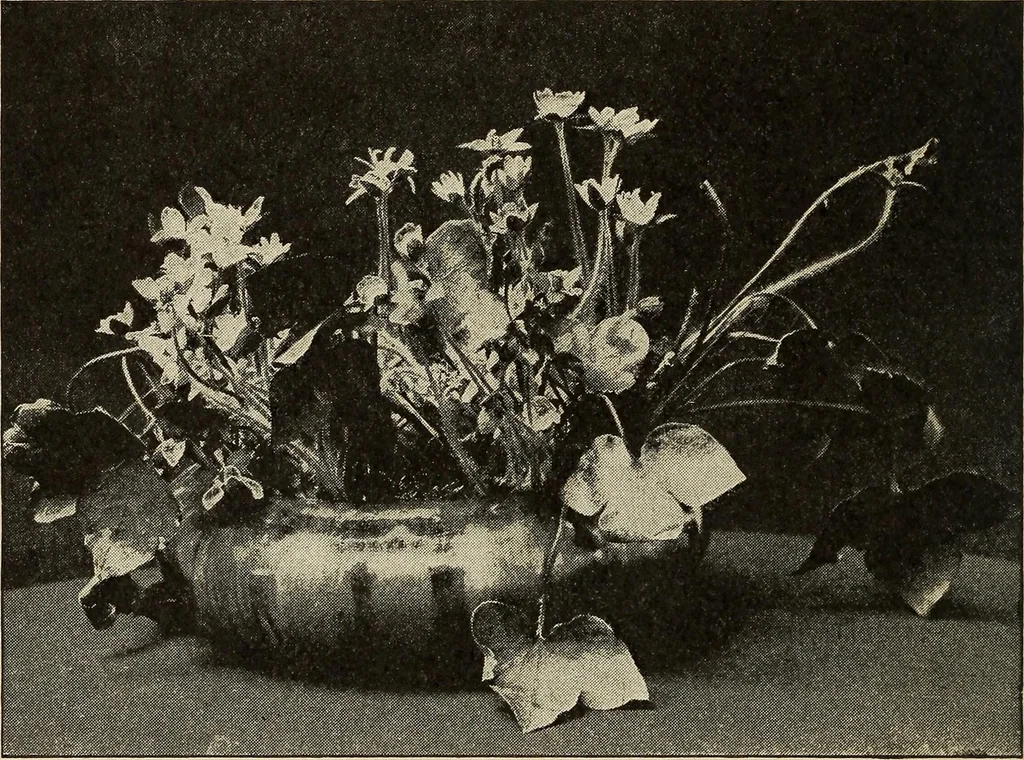 An illustration from The home and the family; an elementary textbook of home making, 1917, leaf 267
