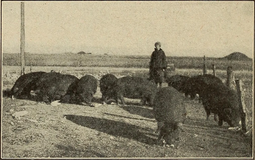 An illustration from The home and the family; an elementary textbook of home making, 1917, leaf 291