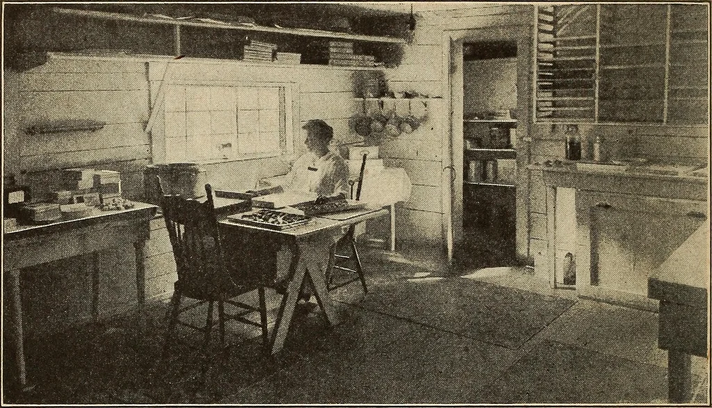 An illustration from The home and the family; an elementary textbook of home making, 1917, leaf 293