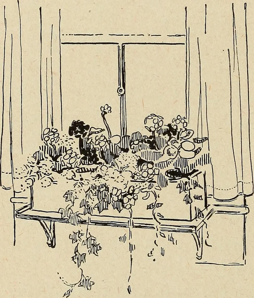 An illustration from The home and the family; an elementary textbook of home making, 1917, leaf 75