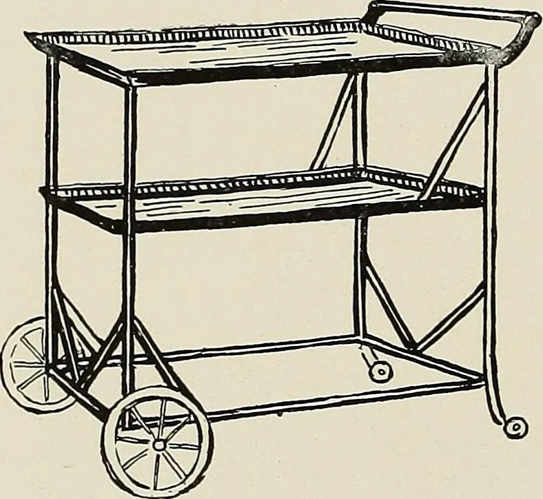 An illustration from The home and the family; an elementary textbook of home making, 1917, leaf 91