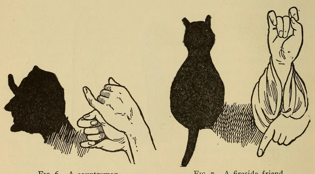 An illustration from Home fun, 1910, leaf 260