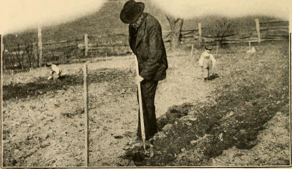 An illustration from The home garden, 1917, leaf 25