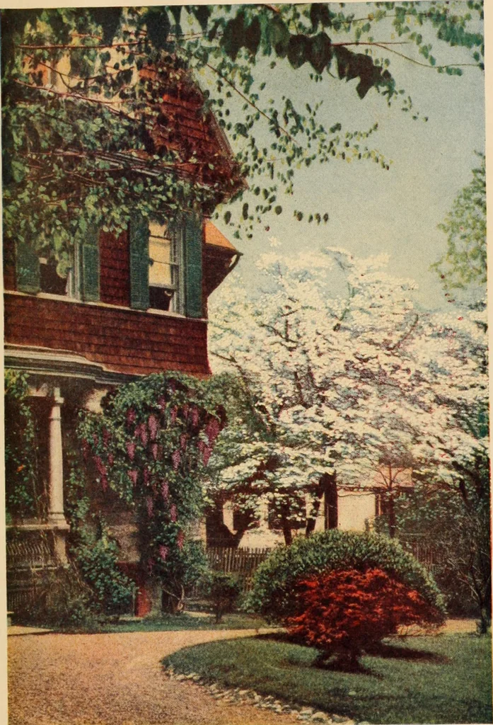 An illustration from The home garden, 1917, leaf 32