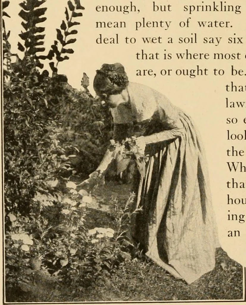 An illustration from The home garden, 1917, leaf 39