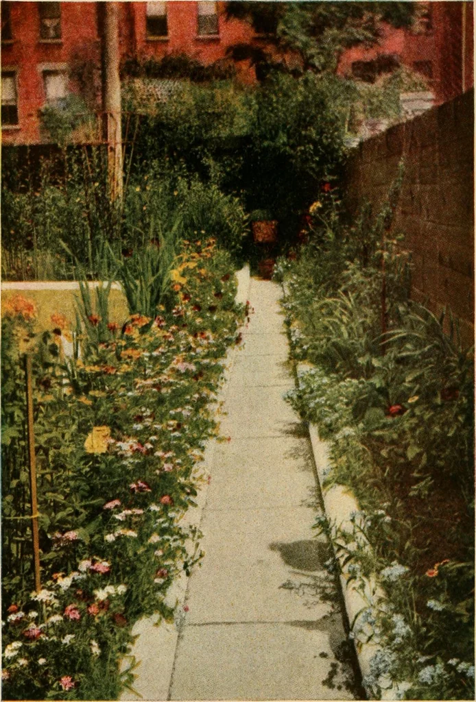 An illustration from The home garden, 1917, leaf 41