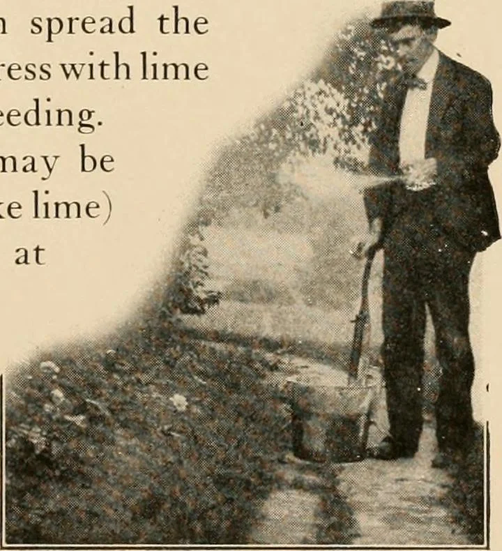 An illustration from The home garden, 1917, leaf 46