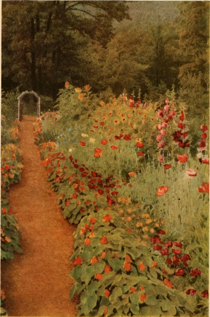 An illustration from The home garden, 1917, leaf 7