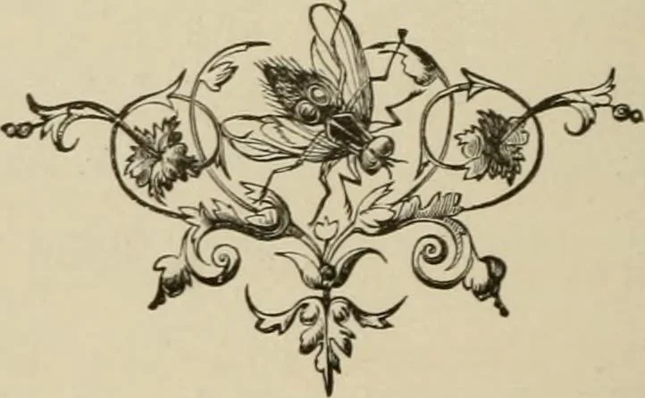 An illustration from Home interiors, 1878, leaf 215