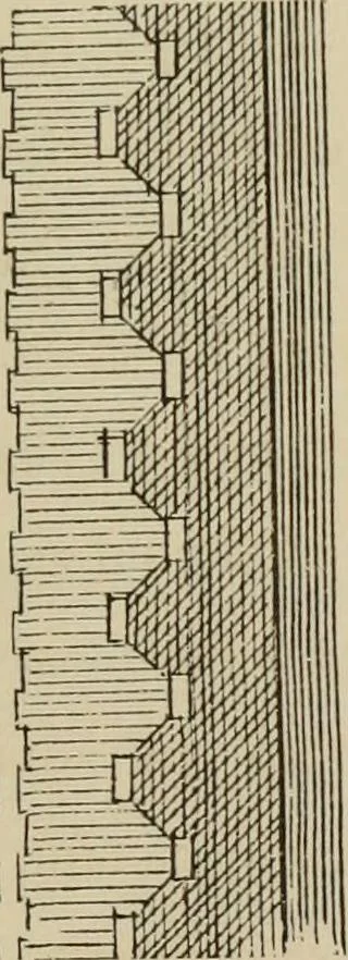 An illustration from Home interiors, 1878, leaf 238
