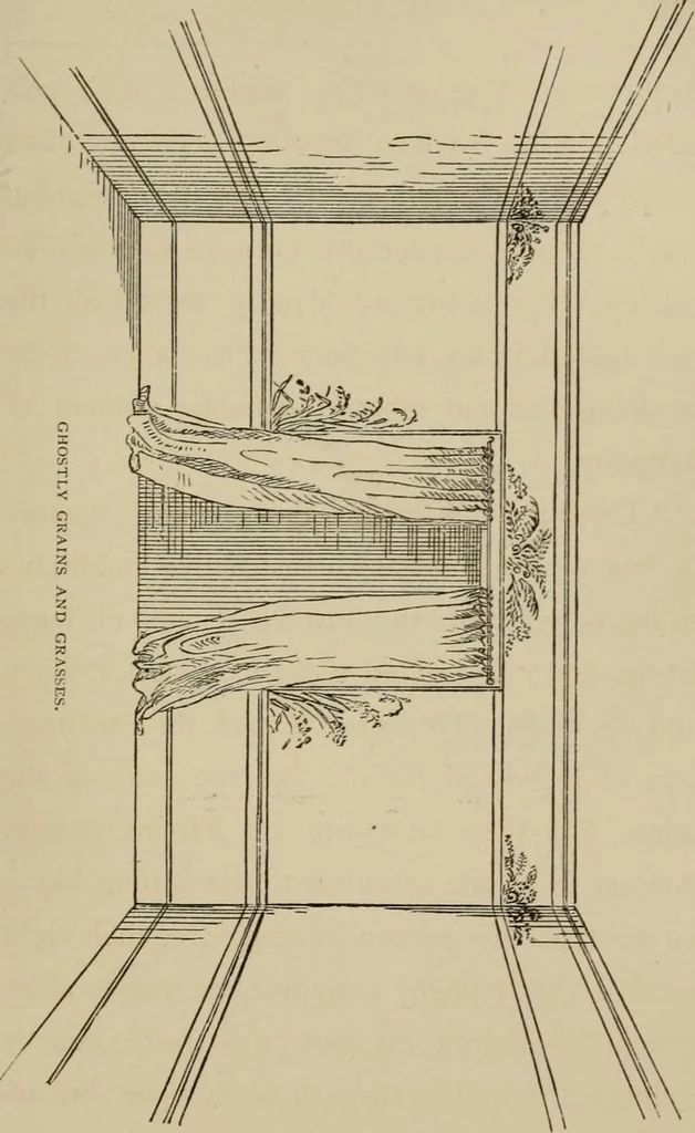 An illustration from Home interiors, 1878, leaf 246
