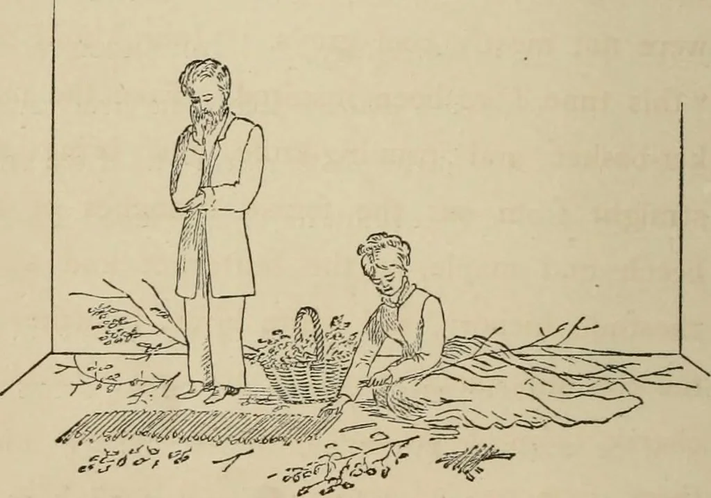 An illustration from Home interiors, 1878, leaf 275