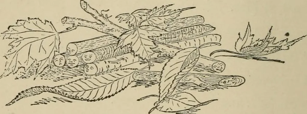 An illustration from Home interiors, 1878, leaf 277