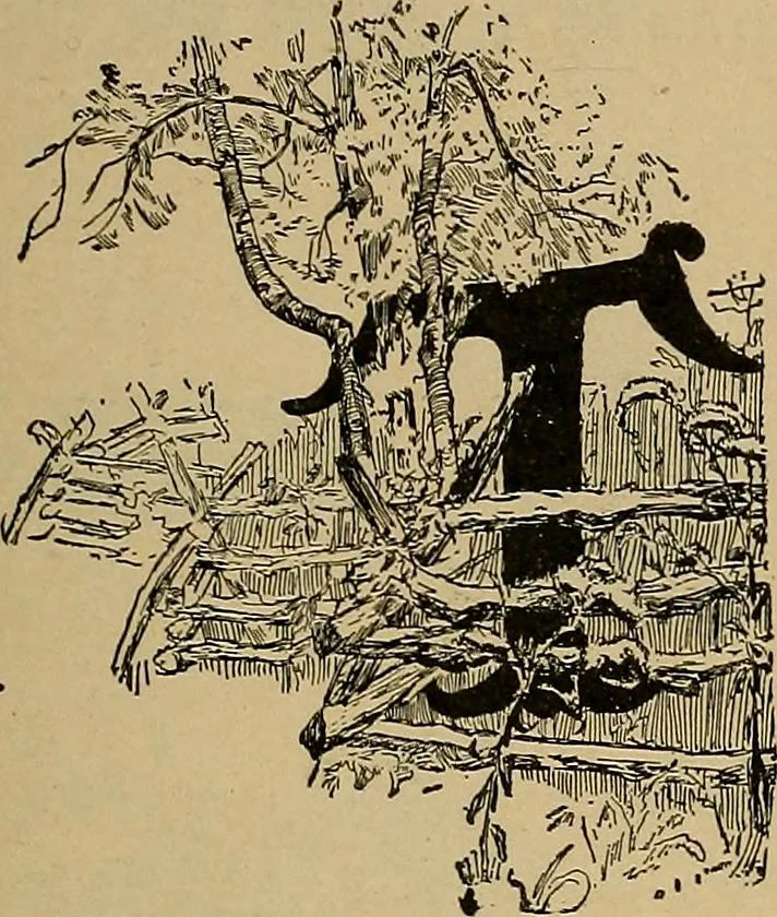 An illustration from Home mission handicraft; ideas for work and play in mission bands and junior societies, 1908, leaf 102