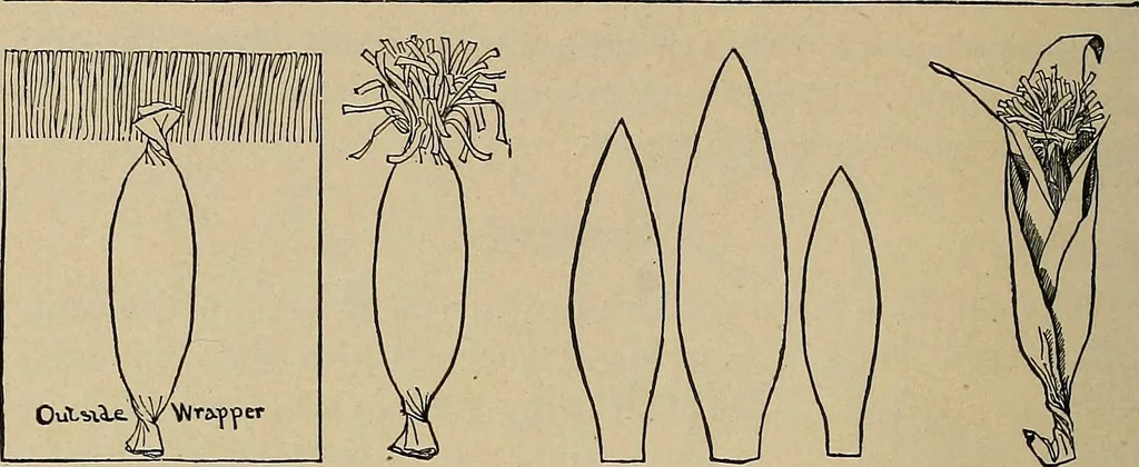 An illustration from Home mission handicraft; ideas for work and play in mission bands and junior societies, 1908, leaf 115