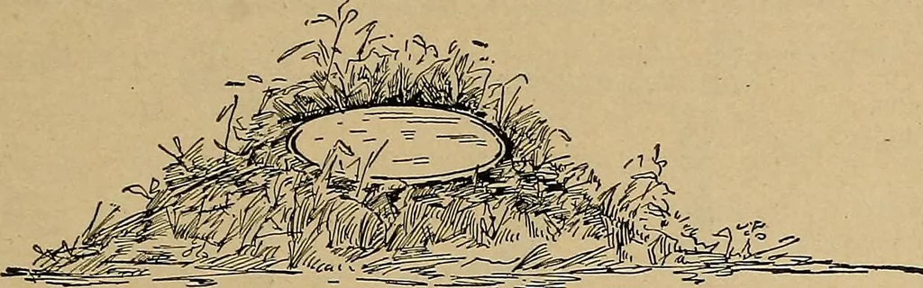 An illustration from Home mission handicraft; ideas for work and play in mission bands and junior societies, 1908, leaf 128