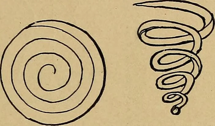 An illustration from Home mission handicraft; ideas for work and play in mission bands and junior societies, 1908, leaf 140