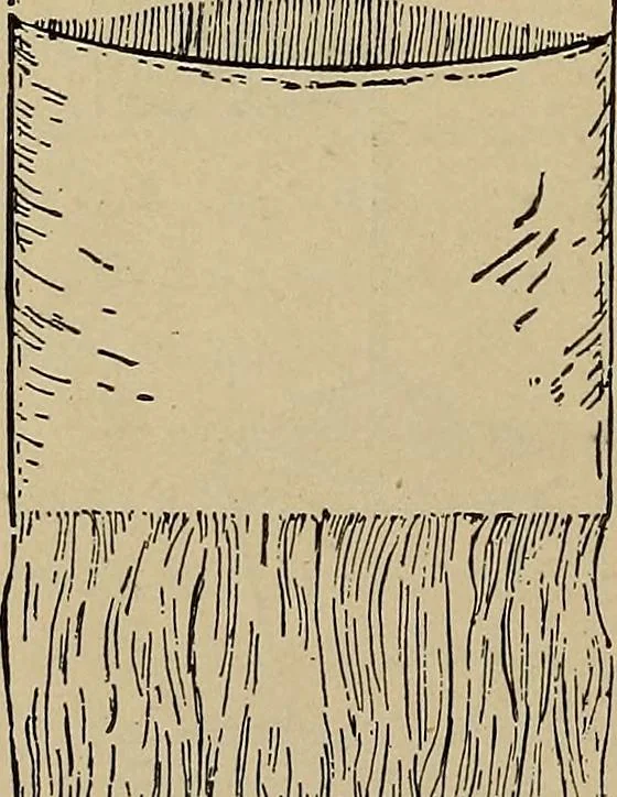 An illustration from Home mission handicraft; ideas for work and play in mission bands and junior societies, 1908, leaf 147