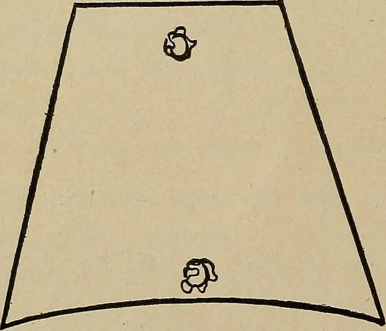 An illustration from Home mission handicraft; ideas for work and play in mission bands and junior societies, 1908, leaf 25