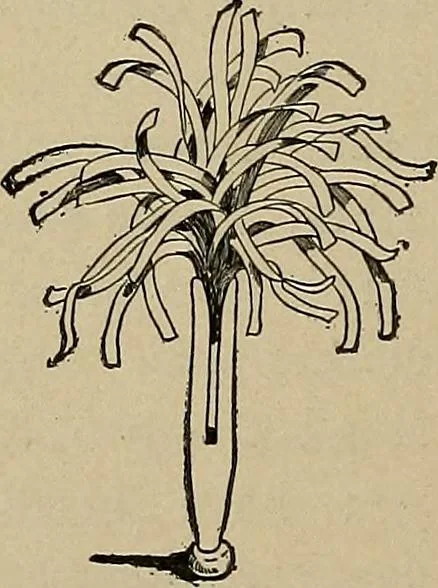 An illustration from Home mission handicraft; ideas for work and play in mission bands and junior societies, 1908, leaf 35