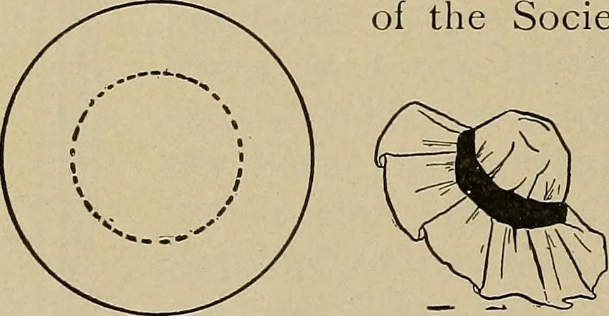 An illustration from Home mission handicraft; ideas for work and play in mission bands and junior societies, 1908, leaf 55