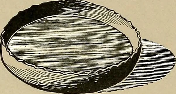 An illustration from Home mission handicraft; ideas for work and play in mission bands and junior societies, 1908, leaf 59
