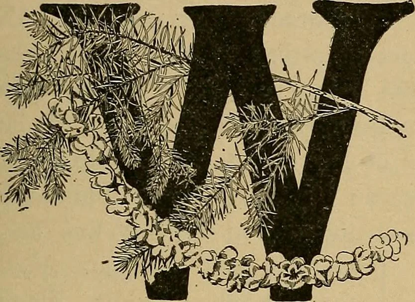 An illustration from Home mission handicraft; ideas for work and play in mission bands and junior societies, 1908, leaf 68