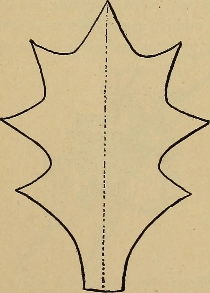 An illustration from Home mission handicraft; ideas for work and play in mission bands and junior societies, 1908, leaf 70