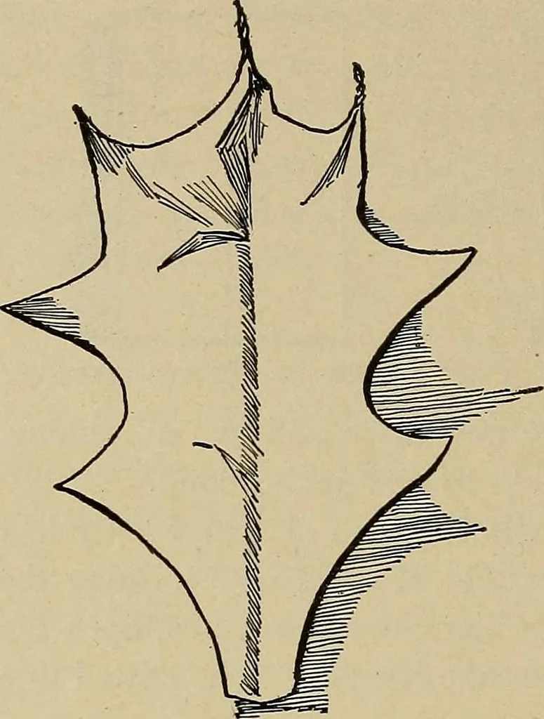 An illustration from Home mission handicraft; ideas for work and play in mission bands and junior societies, 1908, leaf 71