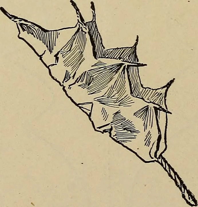 An illustration from Home mission handicraft; ideas for work and play in mission bands and junior societies, 1908, leaf 71